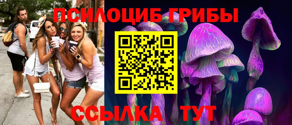Галлюциногенные грибы Psilocybine cubensis  Вход с VPN  Гусев 